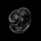 Snake Winding Skull Ring - ringsuniverse