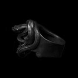 Snake Winding Skull Ring - ringsuniverse